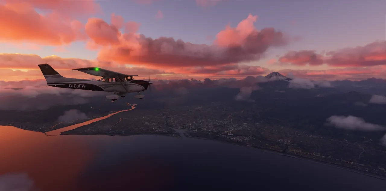 Flight Sim 2020